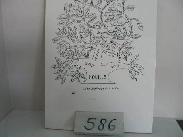  Collection ASPEG, pièce numéro 586 : Houille (Arbre Généalogique)